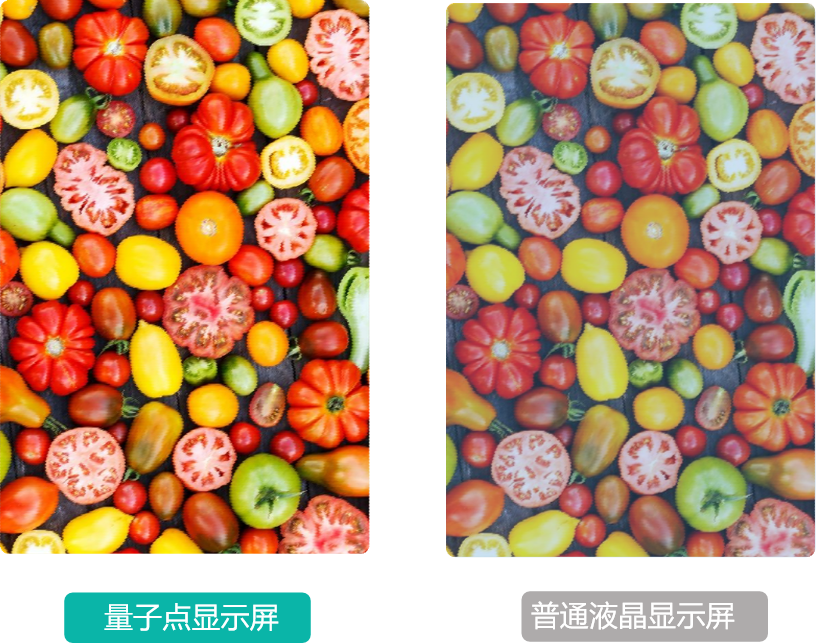 产品3.1.png